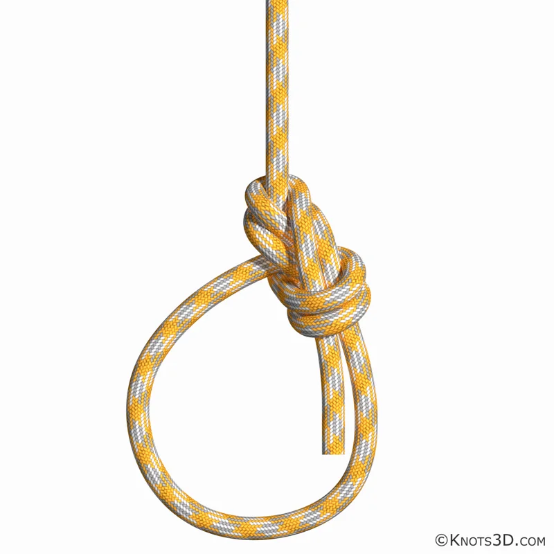 Анимация: Булинь Эдвардса