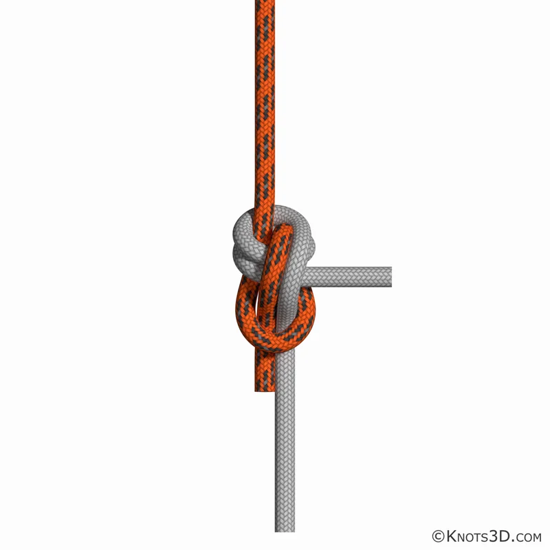 Анимация: Двойной драконий узел