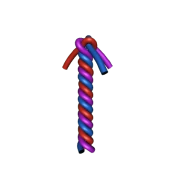 Коронный узел