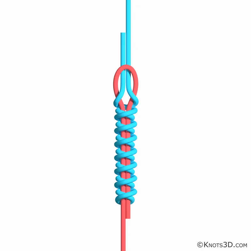 Animering: Alberto-knut