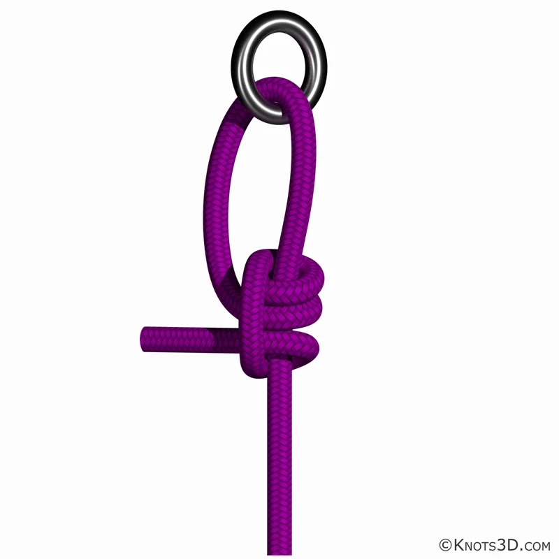 Animering: Magnus-knop