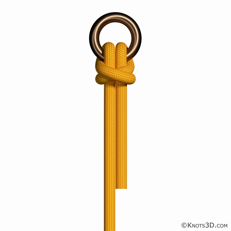 Animering: Tjurknop (ände)