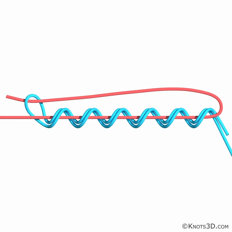 Animering: Yucatan-knut