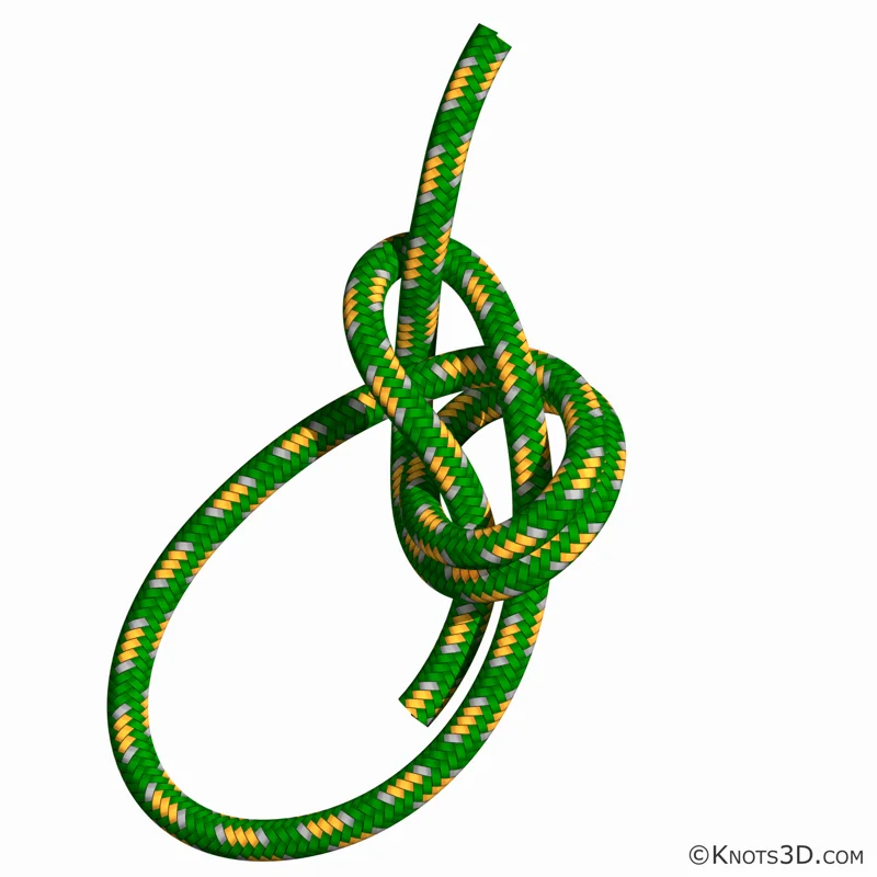 Animasyon: Çifte İzbarço Bağı