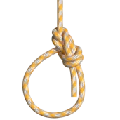 Edwards İzbarço Bağı