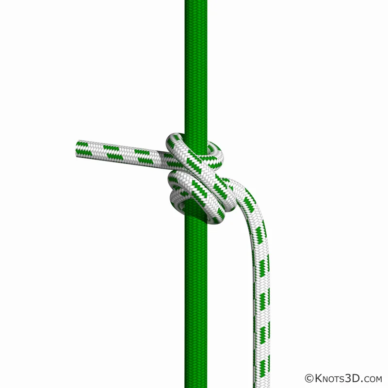 三套结 | 绑法 | 3D 绳结