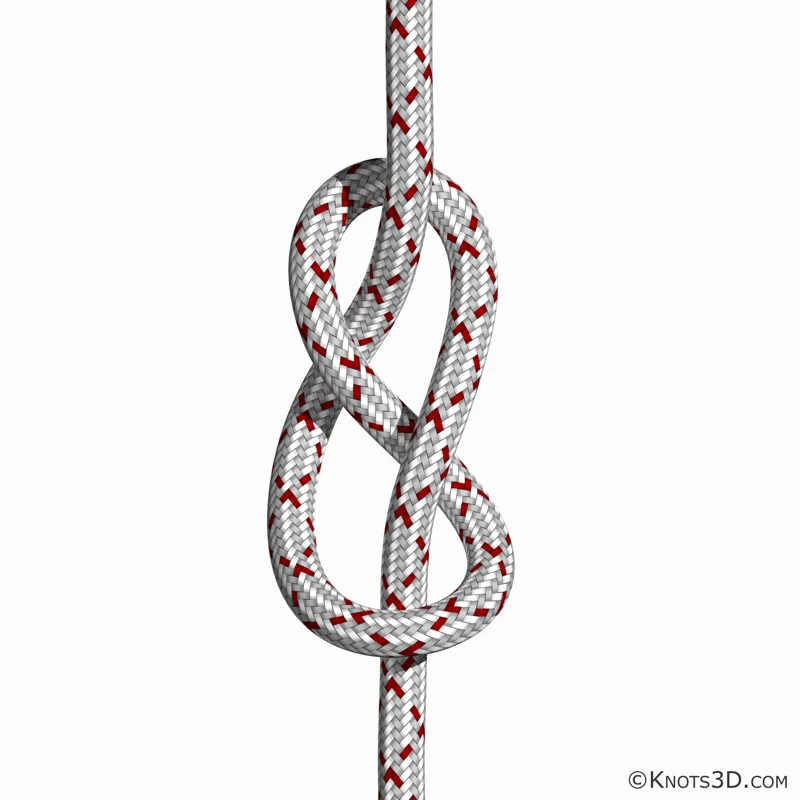 八字结 | 绑法 | 3D 绳结