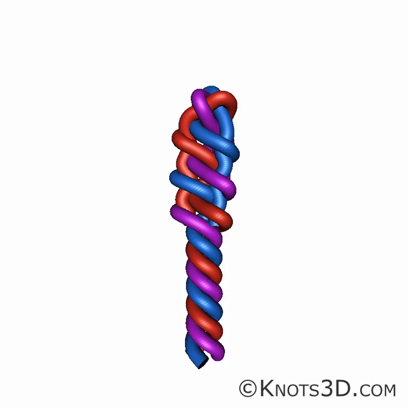 反穿结 | 绑法 | 3D 绳结