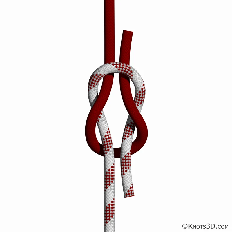 平结 | 绑法 | 3D 绳结