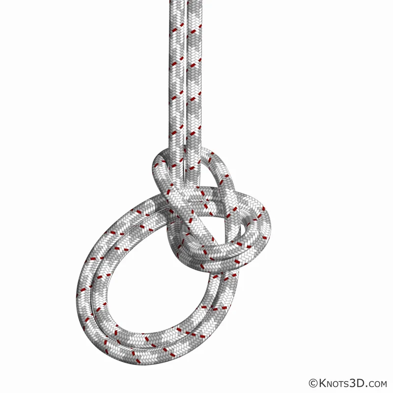 动画: 双称人结 (绳中)