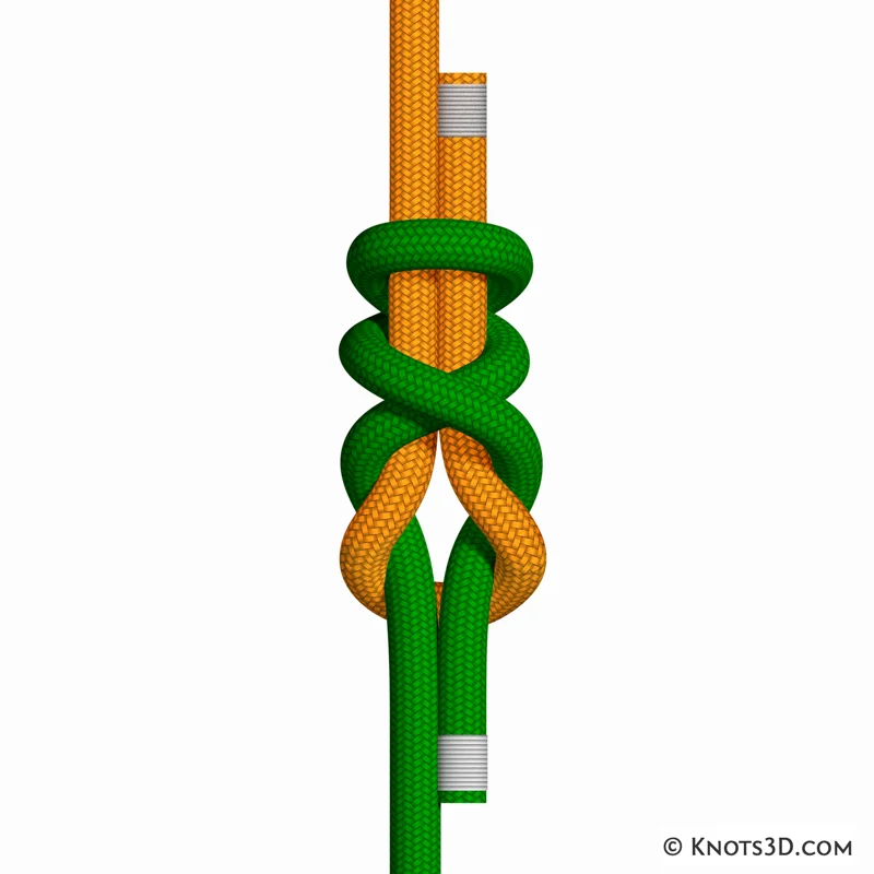 动画: 双简西蒙结（上）