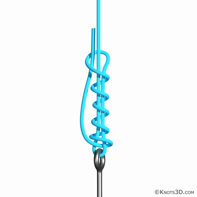 动画: 圣地亚哥锁结