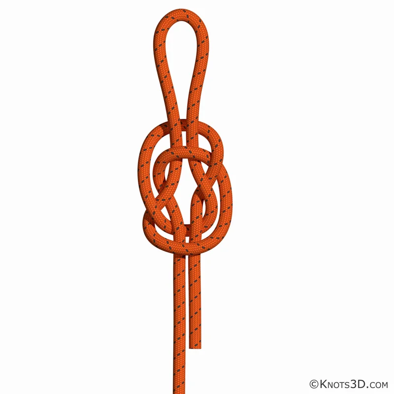 动画: 瓶口结 (绳端)