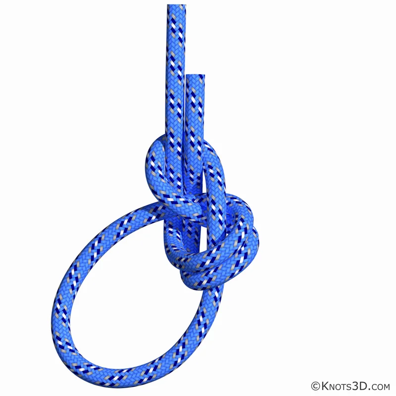 动画: 约塞米蒂称人结