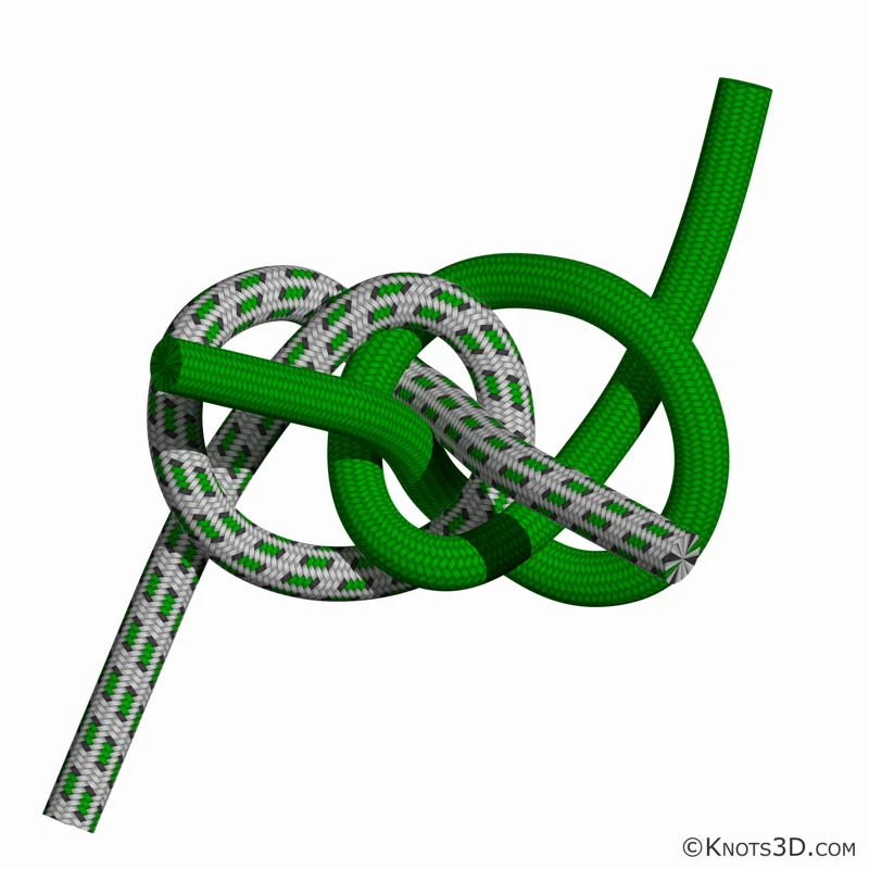 动画: 阿什利结