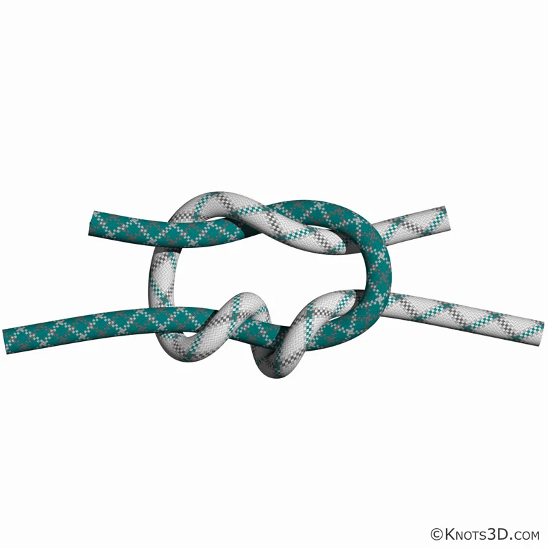外科結 | 結動畫 | 3D 繩結