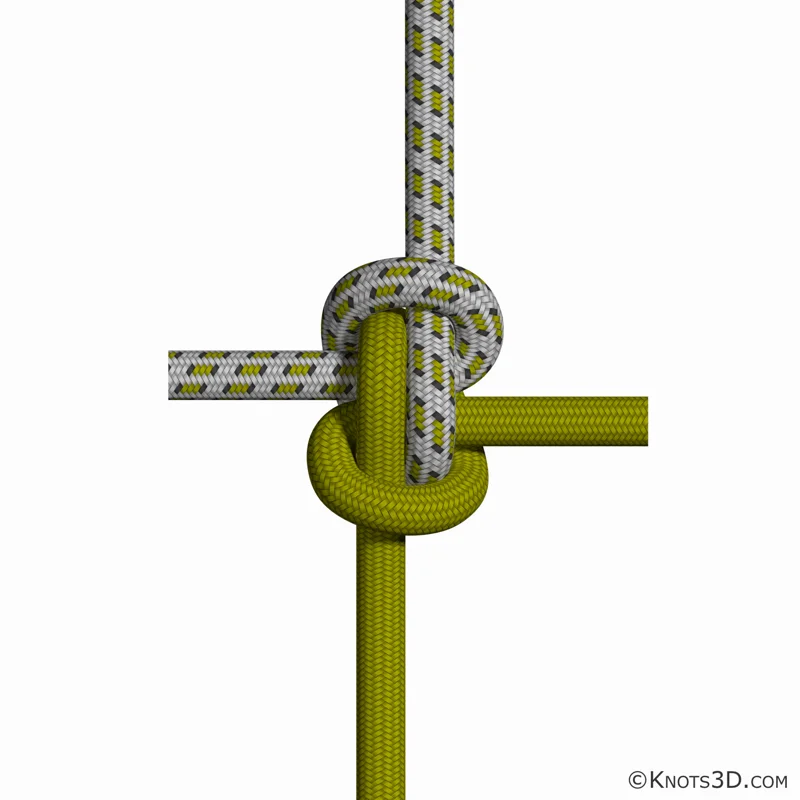 動畫: 亨特接結