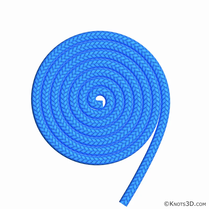 動畫: 佛蘭芒片結