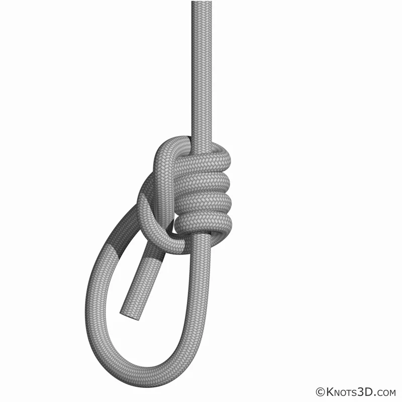 動畫: 塔巴克結