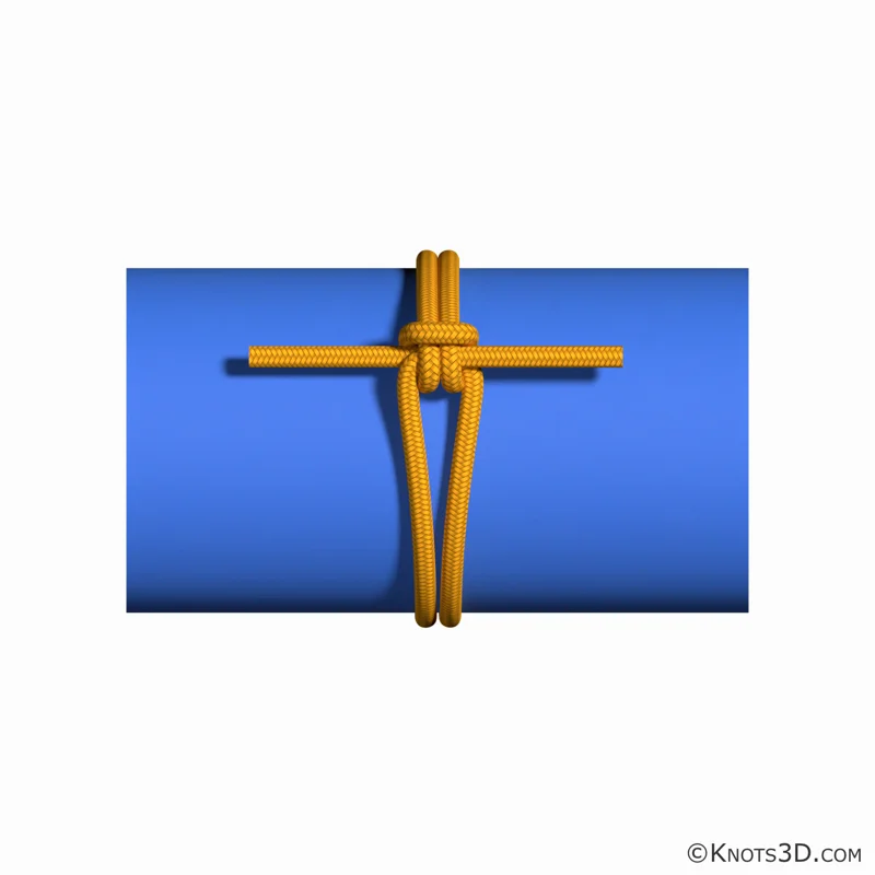 動畫: 林地束帶結