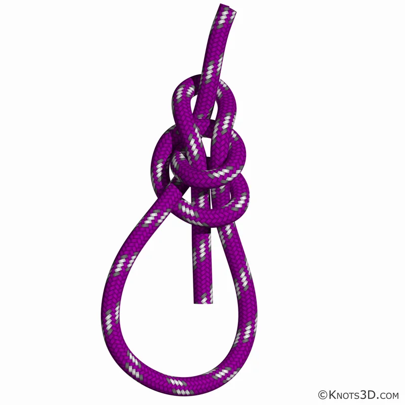 動畫: 水中稱人結