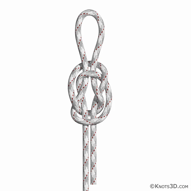 動畫: 瓶口結 (繩中)